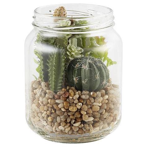 Tesco Direct Cactus In Glass Jar Plants In Jars Glass Planter
