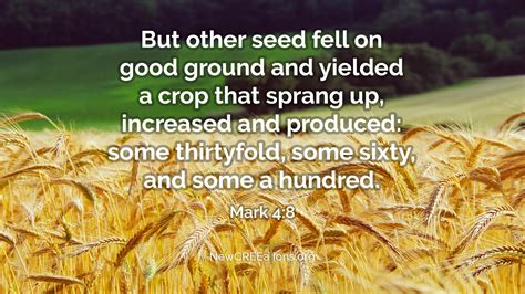 Good Ground Produces A Bountiful Harvest Mark Newcreeations