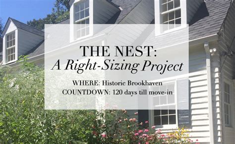 The Nest A Right Sizing Project Atlanta Homes And Lifestyles