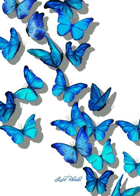 Aesthetic backgrounds aesthetic iphone wallpaper aesthetic wallpapers look wallpaper wallpaper backgrounds phone backgrounds nature aesthetic blue aesthetic monarch butterfly images. Pin by mUchI KingSliegh on AESTHETICS WALLPAPER ...