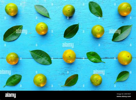 Yellow Green Calamansi Calamondin Or Philippine Lime Tropical Fruits