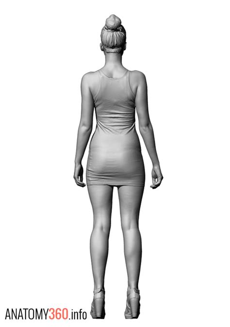 Female Body Reference Anatomy 360