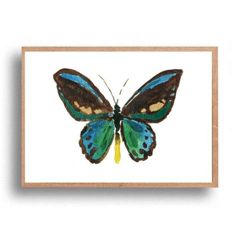 Butterfly Print Jade Teal Butterfly Art Print By Thejoyofcolor