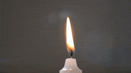Search, discover and share your favorite candle gifs. Birthday Cake Burning Candles Fire Gif / Candle Png ...