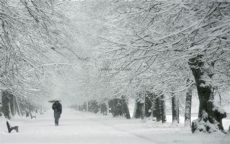 Chi Tiết Hơn 99 Hình ảnh Mùa đông đẹp Lãng Mạn đẹp Nhất B1