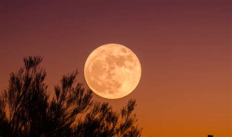 Largest Super Full Moon Of 2020 Visible In Sa