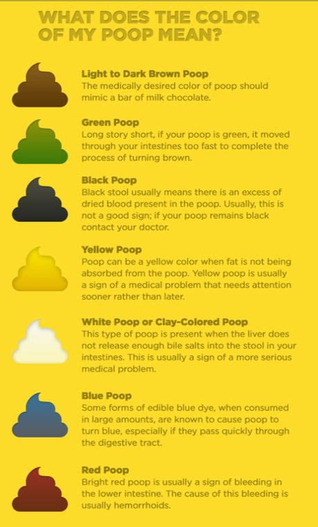 Why Is My Poop Green Stool Colors Explained Whats Your Poop Telling