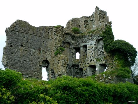 Ireland In Ruins Carrick Castle Co Kildare
