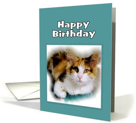 Happy Birthday Calico Cat Card Cat Cards Calico Cat Happy Birthday