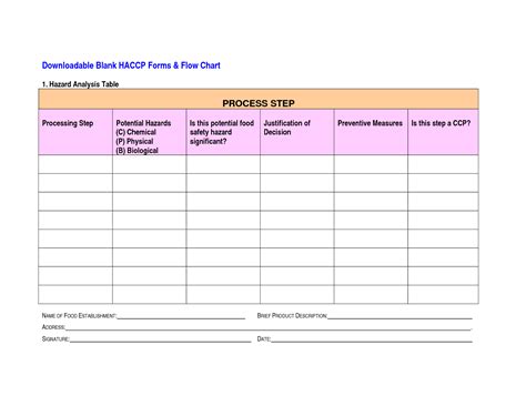 6 Best Images Of Blank Haccp Flow Chart Template Printable