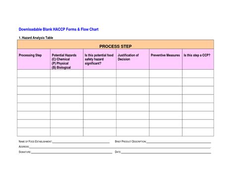 Blank Haccp Plan Template