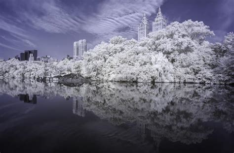 Central Park Infrared Stock Image Image Of Landscape 124505763