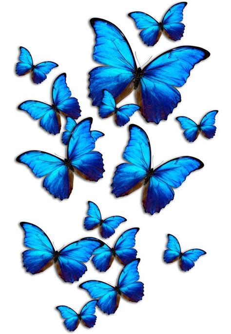 Aesthetic Blue Butterfly Wallpapers Wallpaper Cave Blue Butterfly