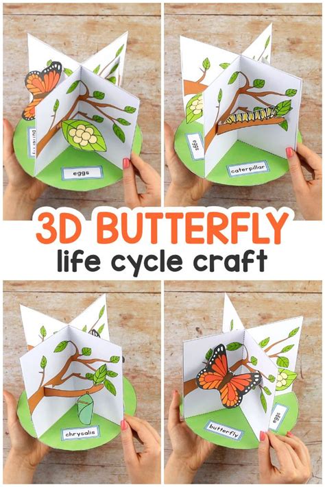 3d Butterfly Life Cycle Craft Butterfly Life Cycle Craft Life Cycle