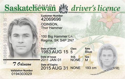 Sk Saskatchewan Drivers License Scannable Fake Id Idviking Best