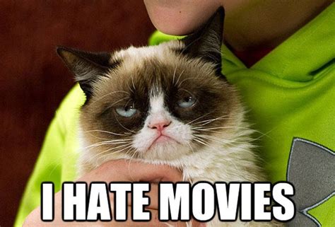 Grumpy Cats Movie Deal The Most Insane Revelations About The First