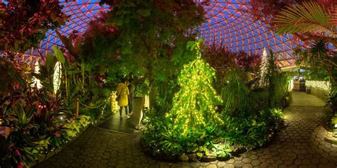 Vancouvers Bloedel Conservatory Is A Tropical Paradise This Holiday