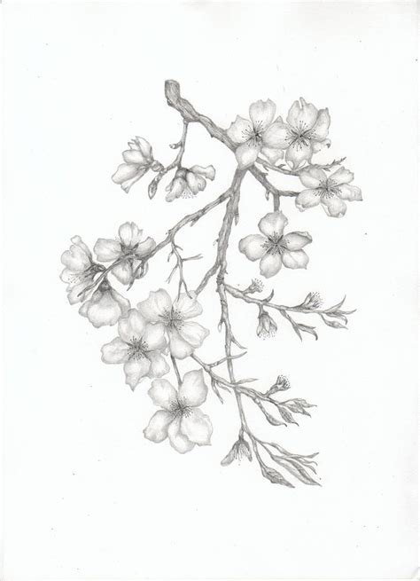 Olimpiyat stadı'nda koşulan 100 metre finalini elaine thompson, finiş çizgisine 10.61'lik derecesiyle geldi. Almond Blossom Painting by Elaine F Thompson