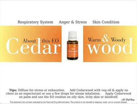 Cedarwood essential oil joined the young living family in 1994. Pin on Cedarwood Young Living