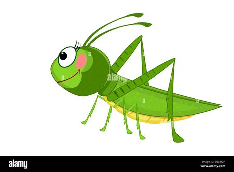 Cricket Insect Clipart Pictures