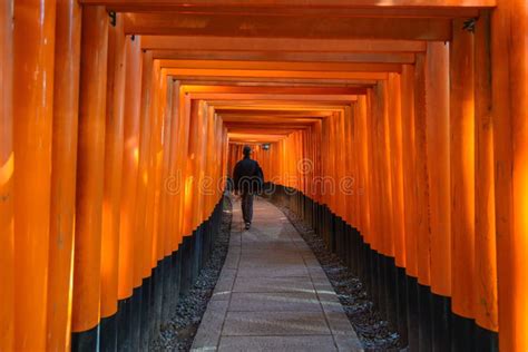 Puerta Roja De Los Toros En La Capilla De Fushimi Inari En Kyoto Imagen