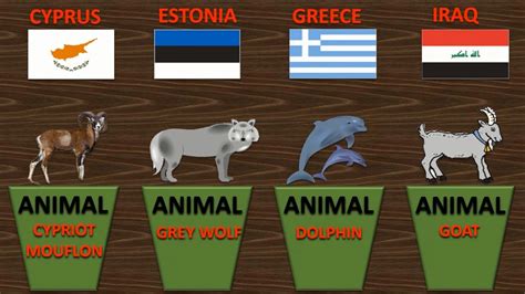 National Animals Of Countries Youtube