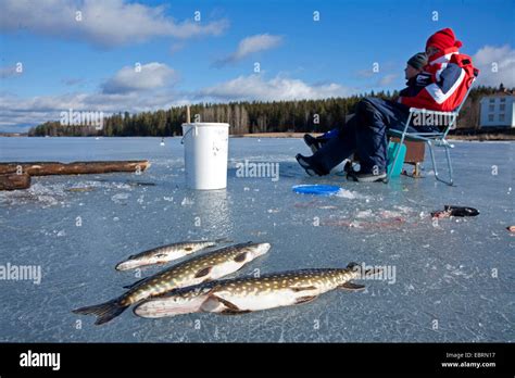 Ice Fishing On Frozen Lake Sweden Stock Photo Alamy