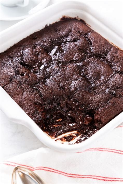 Chocolate Fudge Pudding Cake Wyse Guide