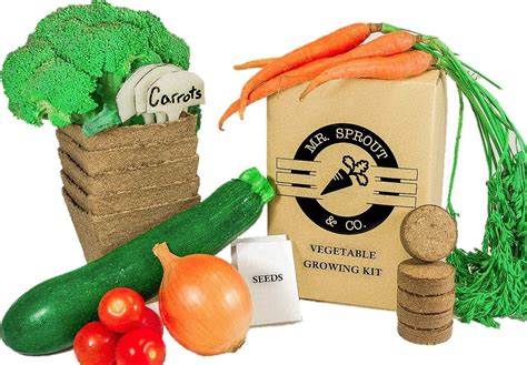 Mr Sprout And Co Organic Vegetable Garden Kit Vegetable