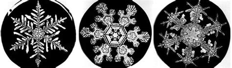 First Snowflake Photographs For Sale Petapixel
