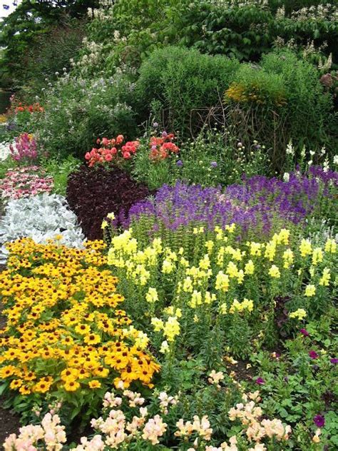 Perennial Flower Beds In All Their Summer Glory