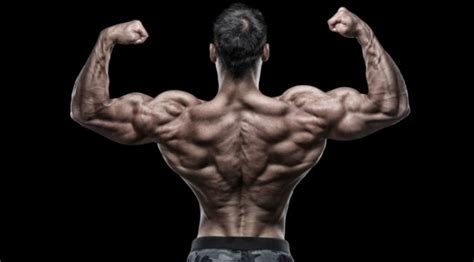 Luckily you've found this page to help you. Muscle Building Routine: Back Workout for Strength & Size | Muscle & Fitness