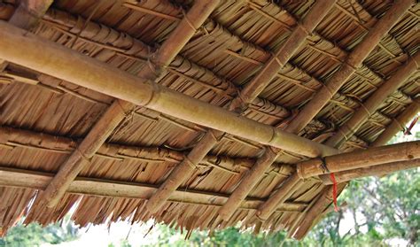 Kelebihan Atap Rumbia Cocok Untuk Gazebo Di Halaman Rumah QHOMEMART