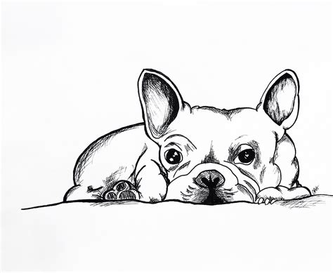 Dalton - French Bulldog Drawing | French bulldog drawing, French
