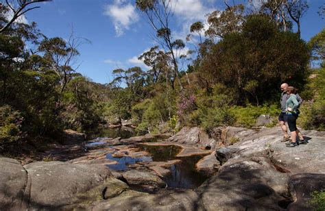 Barren Grounds Nature Reserve Learn More Nsw National Parks