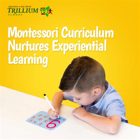 Montessori Curriculum Nurtures Experiential Learning Trillium School