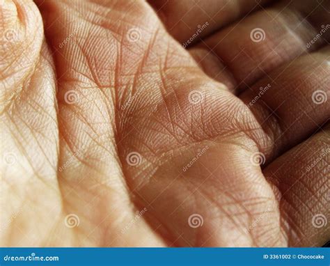 Hand Close Up Stock Photo Image Of Human Lines Macro 3361002
