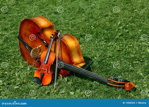 The Two Music Instruments Stock Image Image Of Isolated 7408365