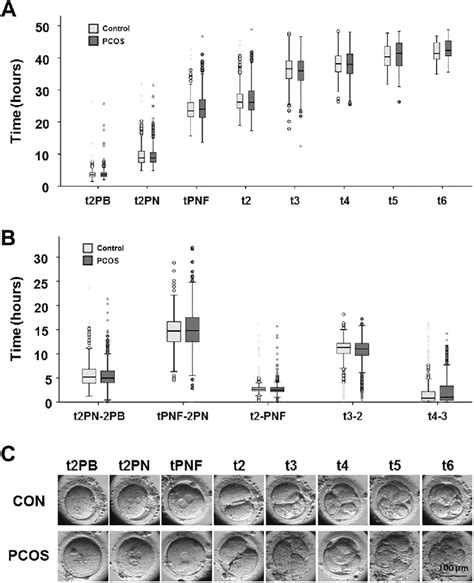 Differences In Embryo Morphokinetics Assessed By Time Lapse Imaging Download Scientific Diagram