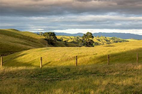 Typical Rural Landscape In New Zealand Stock Image Image Of Rural