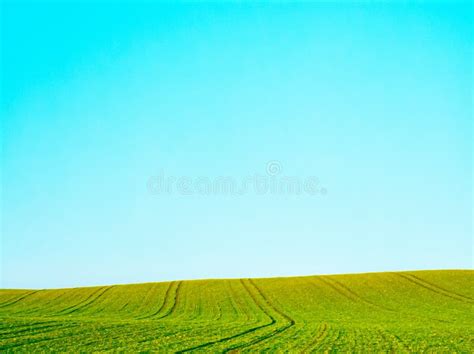 Green Field And Blue Sky Beautiful Meadow As Nature And Environmental