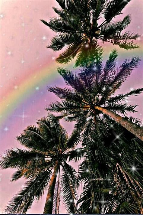 Check Out What I Made With Picsart Palm Tree Background Tree