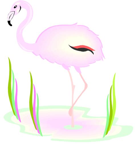 Flamingo Clipart Beak Flamingo Beak Transparent Free For