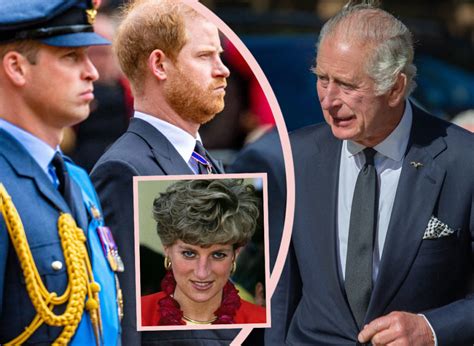 King Charles Regrets Making William And Harry Walk Behind Princess Diana S Casket It Still