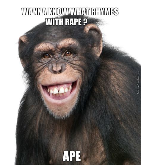 19 Funny Chimpanzee Meme That You Never Seen Before Memesboy