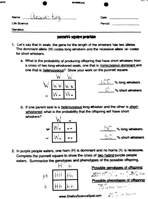 Practice Punnett Squares Worksheet With Answers