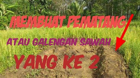 Membuat Pematang Sawah Yang Ke 2 Youtube