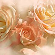 Peach Roses In The Mist Photograph By Jennie Marie Schell Fine Art