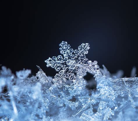 How Snowflakes Are Formed Mnn Mother Nature Network