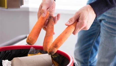 How To Tell If Carrots Are Bad Kitchensanity
